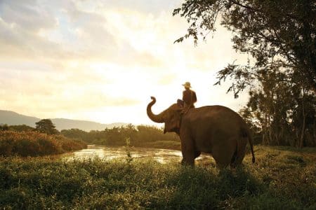 Anantara: Taking Thai Hospitality to the World