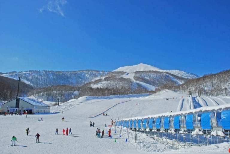 Niseko Ski Japan 40-year-old Virgin - Travel Begins at 40