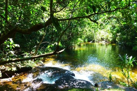 Swimming Hole