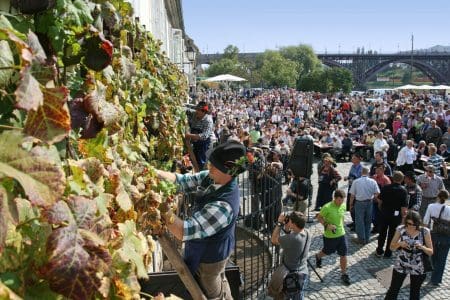 Old Vine Festival, Maribor