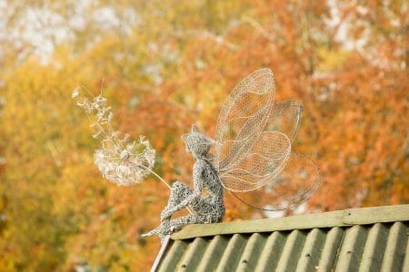 A Colourful Autumn at Trentham