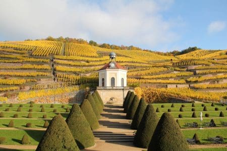 Dresden: Where Nature and Pleasure Meet