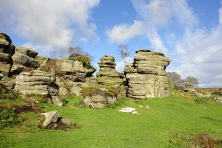 Take a Walk on Yorkshire’s Wild Side