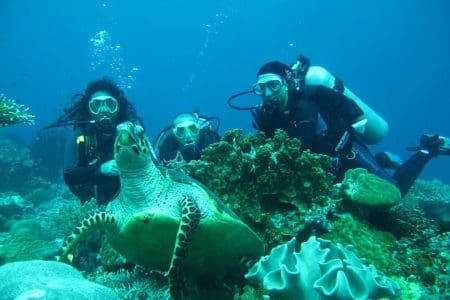 Sarigerme: Europe’s Stunning Natural Aquarium