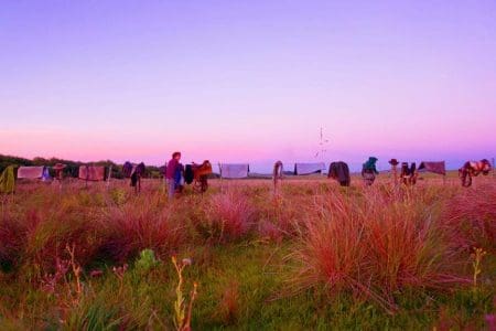 In the Saddle with Uruguay’s Horse Whisperer