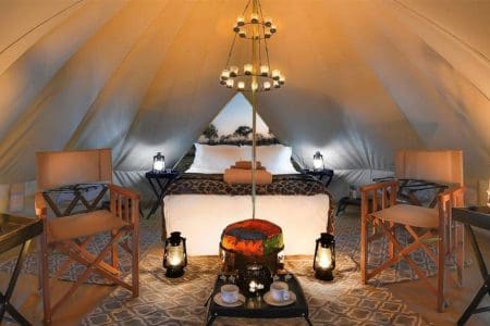 The Lodge at Feline Fields New Luxury Mobile Camp