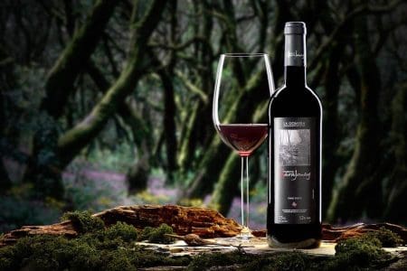 Discover the Canary Islands’ Untapped Wine Destination