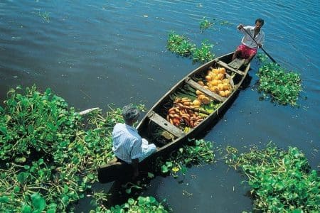 Experience the Real Marigold in Kerala with Corinthian Travel