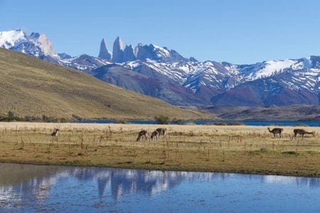 Patagonia & Pumalin National Parks in Chile