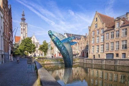 Skyscraper (the Bruges Whale)