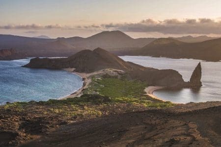 Galapagos Reforestation Partnership