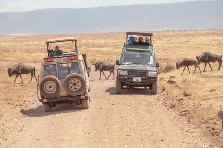 African safari tanzania