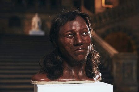 Cheddar Man Stars as First Brit Unveiled