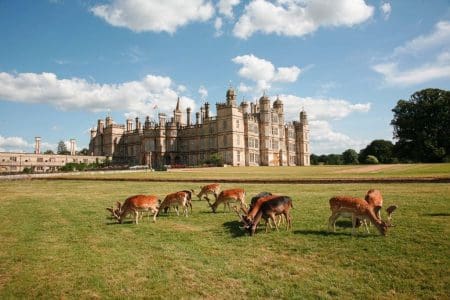 Star Wars, Twilight and Bedlam at Burghley