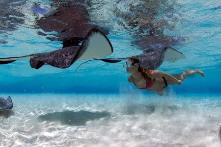 Escape to Cayman Islands with Fleewinter