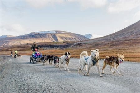 Discover Polar Summer Holidays to Svalbard