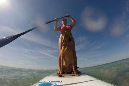 Paddle Boarding for the Over 40s (and dogs)