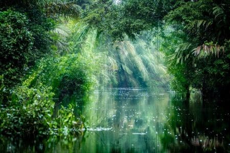 Costa Rica and Google Earth Tackle Deforestation