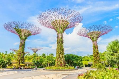 Vaccinated UK Citizens Can Visit Signapore