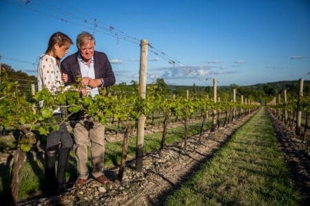 Hampshire Vineyards Add Some Sparkle