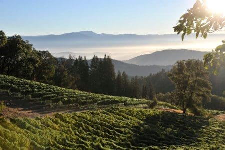 Sonoma County Seeks Sustainable Travellers