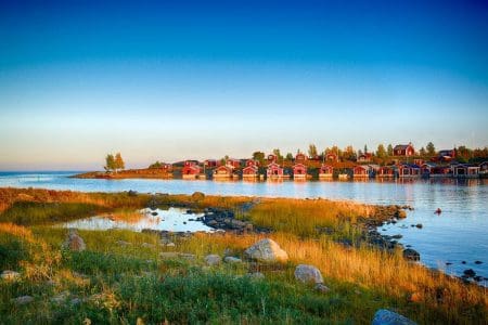 Foraging in Arctic Sweden Off the Map