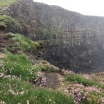 A cliff at Nólsoy with puffins nesting