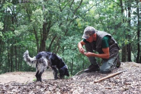 Truffle Hunting at Villa Lena, Tuscany