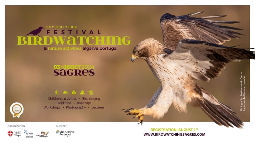 Sagres Birdwatching Festival 2024