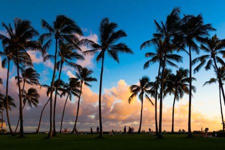 How Much Does It Cost to Relocate to Hawaii?