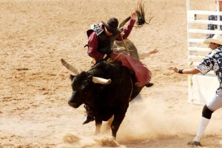 Professional Bull Riders World Finals