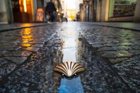 Pilgrim Steps to Santiago de Compostela