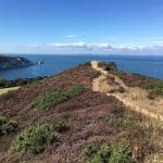 The view from Headon Warren to the Needles