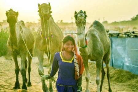 Visit India Camel Beauty Contest with TravelLocal