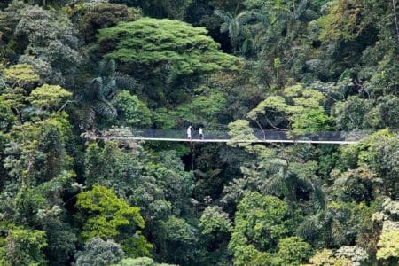 @CostaRicanTrails – Arenal Hanging Bridges – Mistico Park