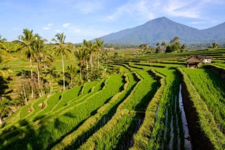 First UK to Bali Non-Stop Flights Welcomed