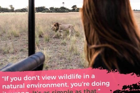 Safaris: Not In the Guidebooks