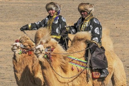 Camel Festival Mongolia 2022 (Temeenii Bayar)