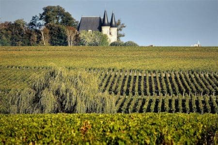 Wines Vines Sunshine Bordeaux