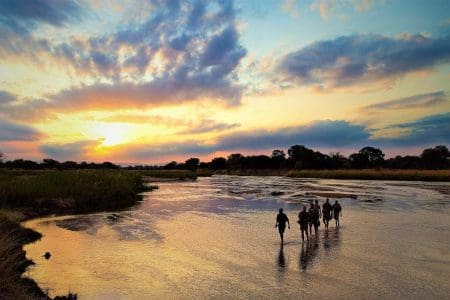 South Luangwa Walking in Zambia