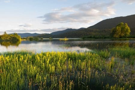 Lake Cerknica shutterstock_222132802