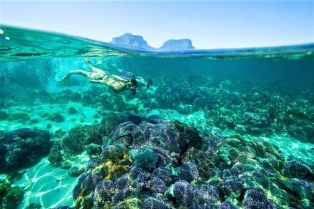 Snorkelling, Lord Howe Island 2