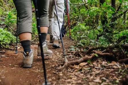 Fifth Edition of Tenerife Walking Festival