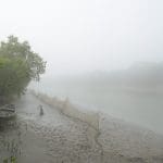 Sundarbans Mangrove Forest, Bangladesh