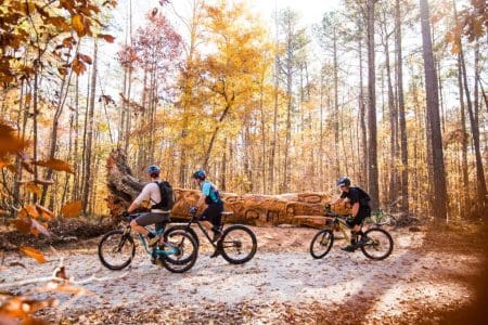 8 Trails to Hike, Bike and Run in Raleigh