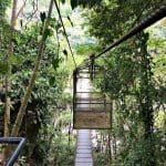 The bridge over the river Cangrejal