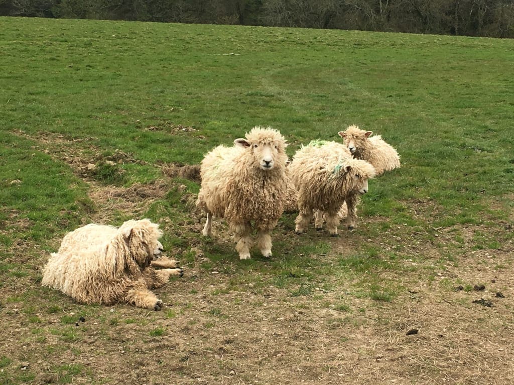 Visit Cornwall welcoming committee