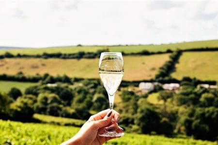 Cornish Wine Tourism Takes Off