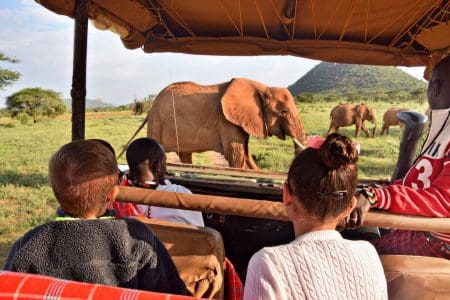 27cfaa26-1e99-4b66-bdc8-f7a62a04b70e-Kenya-children-on-safari-holiday-SS_large