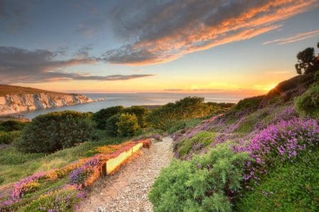 Isle of Wight Declared a Biosphere Reserve